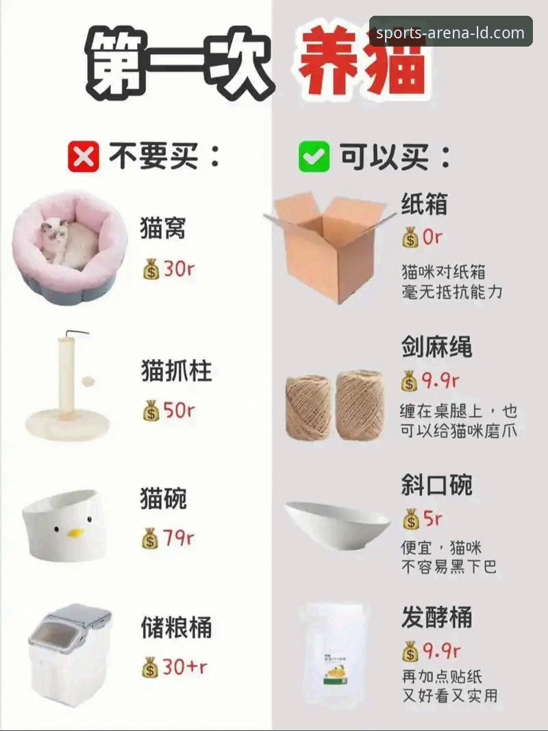 新手必看：ldsports综合体育平台资深用户分享LDSports官网手机版使用心得